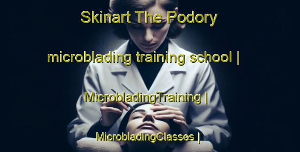 Skinart The Podory microblading training school | MicrobladingTraining | MicrobladingClasses | SkinartTraining-Russian Federation